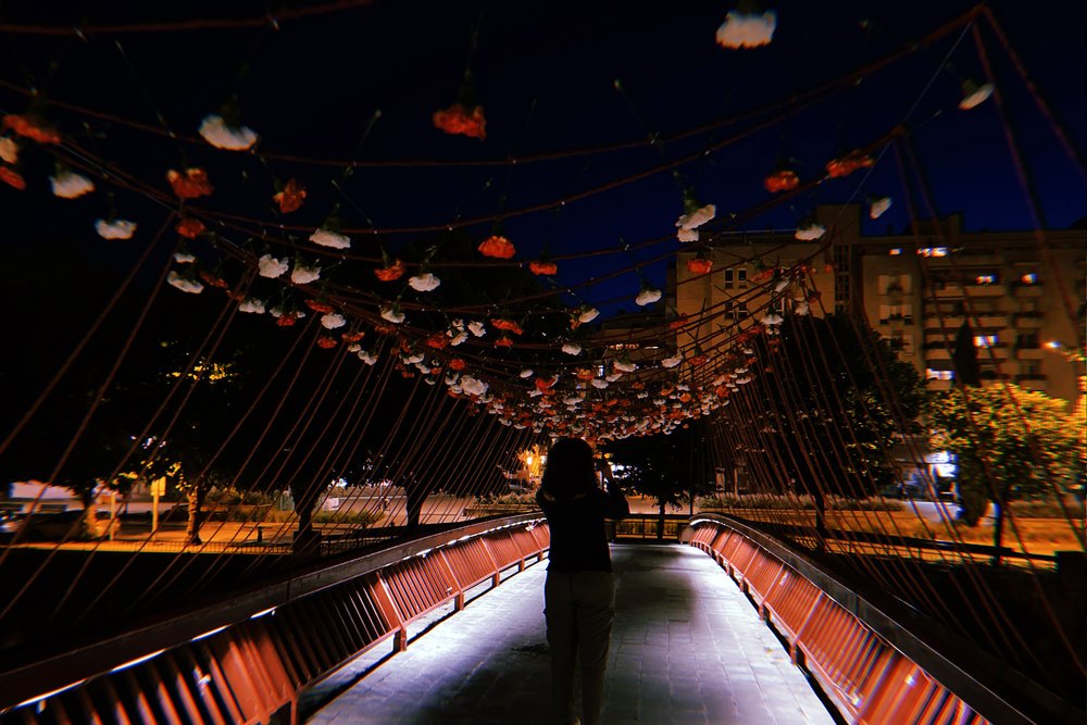 Desfilant el Pont - Temps de Flors 2021